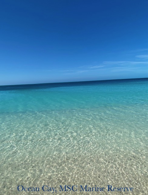 Ocean Cay, MSC Marine Reserve